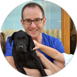 Profile photo of Dan Bow