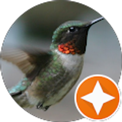 Profile photo of Christina Darlington