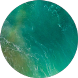 Profile photo of Luc