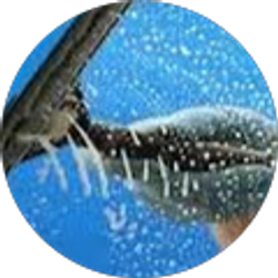 Profile photo of Reflections Window