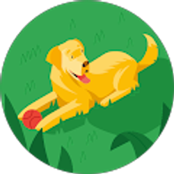 Profile photo of Kristi Pace