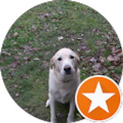 Profile photo of Rodger Dry