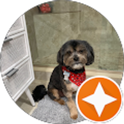 Profile photo of William Arlan