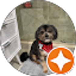 Profile photo of William Arlan