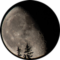 Profile photo of Cameron O'Grady