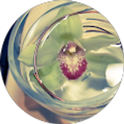 Profile photo of Brie Nakamura