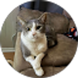 Profile photo of Josh Skipworth