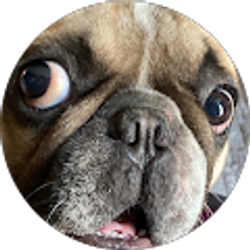 Profile photo of Brenda Chavez