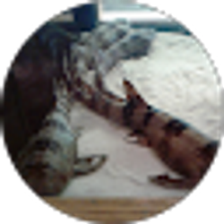 Profile photo of Anna Kindsvatter