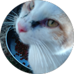 Profile photo of Elliwesis Hawkins