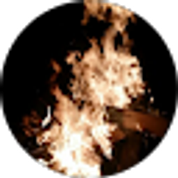 Profile photo of Patch Doo