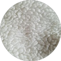 Profile photo of susana lopez