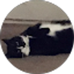 Profile photo of Heather