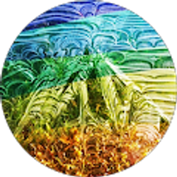 Profile photo of jennifer moore