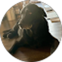 Profile photo of Michael Laglia