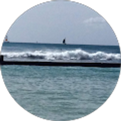 Profile photo of Rosemeire Francisco
