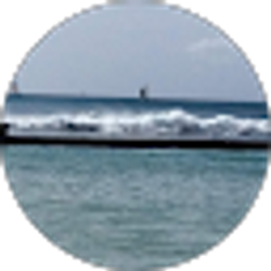 Profile photo of Rosemeire Francisco