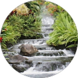 Profile photo of Rosa Benitez