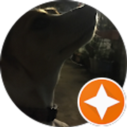 Profile photo of Miranda Acevedo