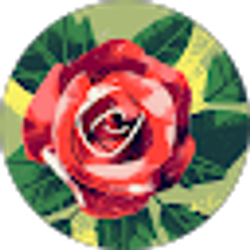 Profile photo of Mmaria Martinez
