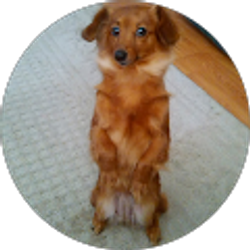 Profile photo of Savannah Houck
