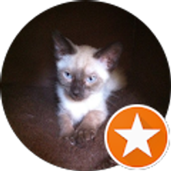 Profile photo of Lizard R