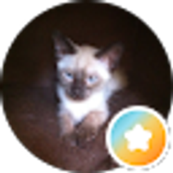 Profile photo of Lizard R