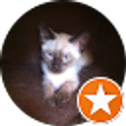 Profile photo of Lizard R