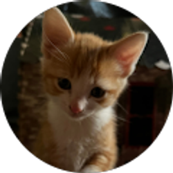 Profile photo of Xavier Bordeaux