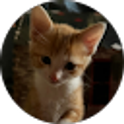 Profile photo of Xavier Bordeaux