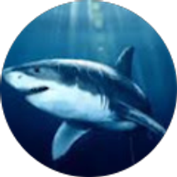 Profile photo of Brenda Gonzales