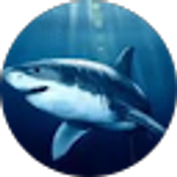 Profile photo of Brenda Gonzales