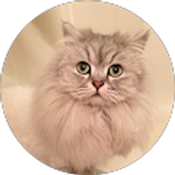 Profile photo of Andrew Almoayyed