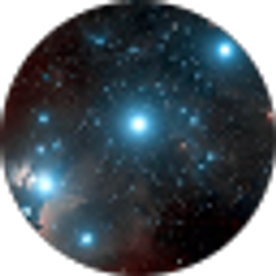 Profile photo of Michelle Willard