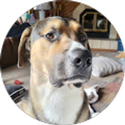 Profile photo of Pamela Linde