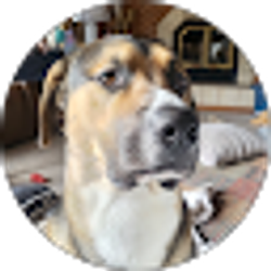 Profile photo of Pamela Linde