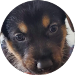 Profile photo of Ashley Mefford