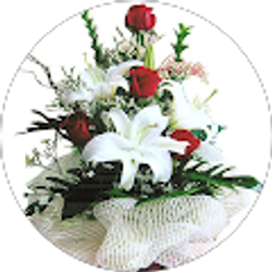 Profile photo of Axel Velez