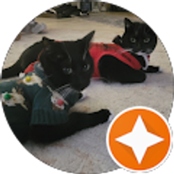 Profile photo of T o