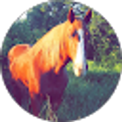 Profile photo of Misty Campbell