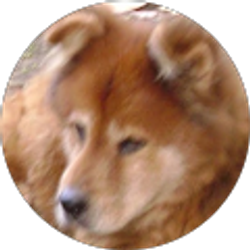 Profile photo of Ruth