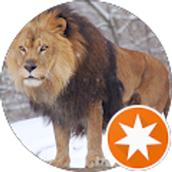 Profile photo of Doug “Dark River Lad” olmstead