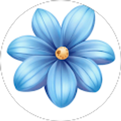 Profile photo of Anna Ruiz