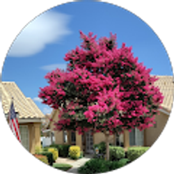 Profile photo of Stephen Gabb