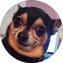 Profile photo of Kym Olivas