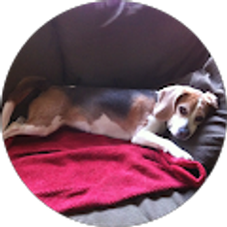 Profile photo of Kevin Brooks