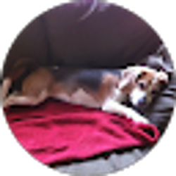 Profile photo of Kevin Brooks