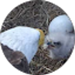 Profile photo of JO SHERAM
