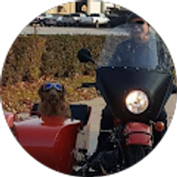 Profile photo of Curt Perry