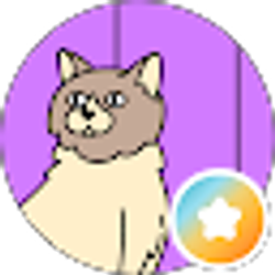 Profile photo of Paola